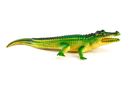 Alligator, green crocodile toy isolatedの写真素材