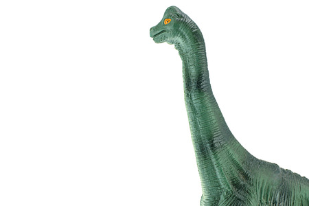 Apatosaurus dinosaurs toy on white background.の写真素材