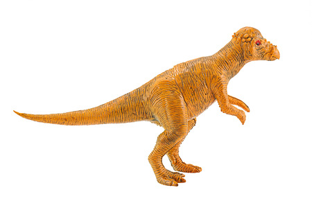 Pachycephalosaurus dinosaur figure toy model isolated on white.のeditorial素材