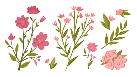 Pink flower and branch set. Collection of cute flower branches and leaves. Flat vector illustrationのイラスト素材