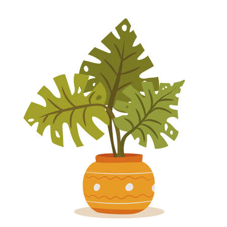 Isolated houseplant on white background. Monstera plant on white background. Flat vector illustrationのイラスト素材
