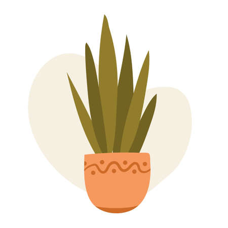 Potted plant in boho style. Flat vectorのイラスト素材