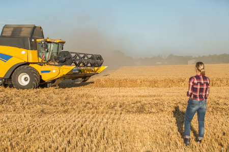 wheat harvestの写真素材