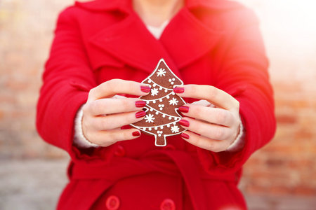A woman holding a Christmas cookieの写真素材