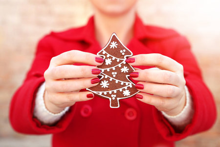 A woman holding a Christmas cookieの写真素材