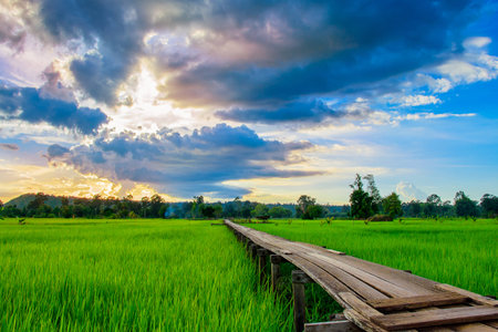 Wooden bridge and beautiful skyの写真素材