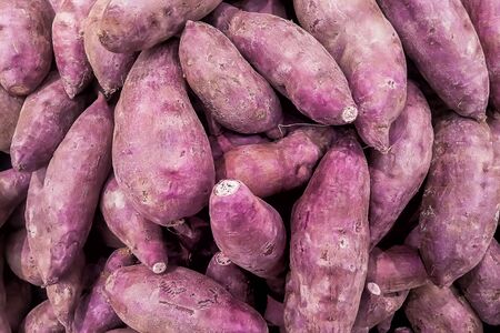 Organic Japanese sweet potatoes for sale at the local fresh market, Purple sweet potatoes on sale.の写真素材