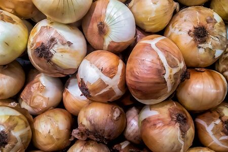 Onion in the market. Group of onion close up at market placeの写真素材