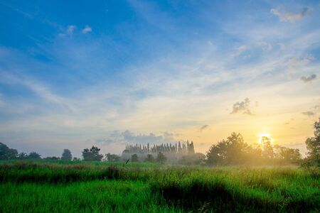The meadow in the morning fog.の写真素材