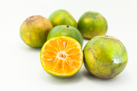 oranges on white backgroundの写真素材