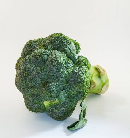 broccoli on white backgroundの写真素材