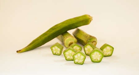 rosele on white backgroundの写真素材