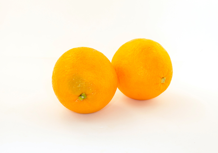 orange on white backgroundの写真素材