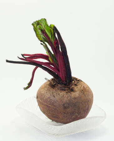 Beetroot on white backgroundの写真素材