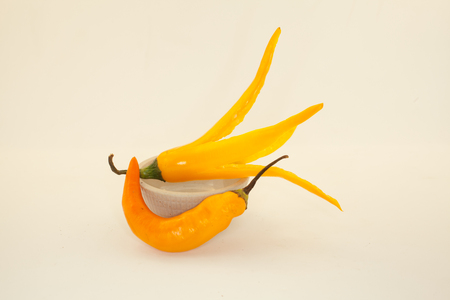 yellow chile on white backgroundの写真素材