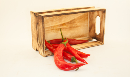 red chile on a white backgroundの写真素材