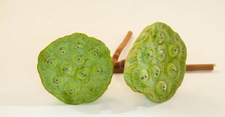 lotus seed on white backgroundの写真素材