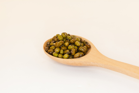 Mung bean in spoonの写真素材