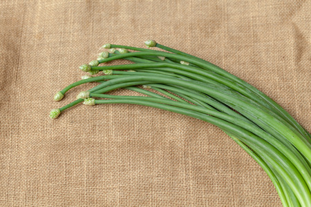 Green garlic chivesの写真素材