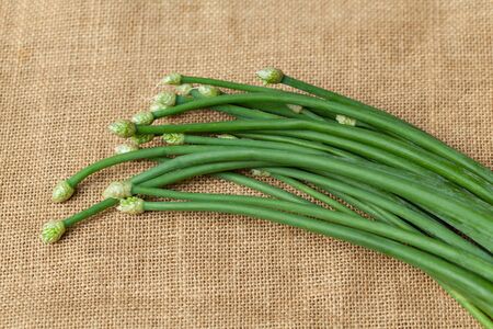 Green garlic chivesの写真素材