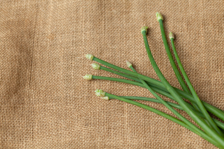 Green garlic chivesの写真素材