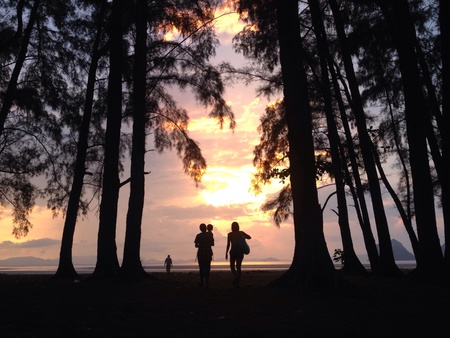 Family relaxs at the beachの素材