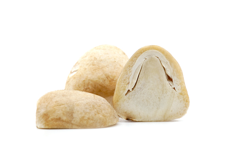 Straw mushroom isolated on white background.の写真素材