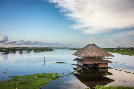 A thatched-roof hut on the shallow banks of the Amazon River near Iquitos, Peru.の写真素材