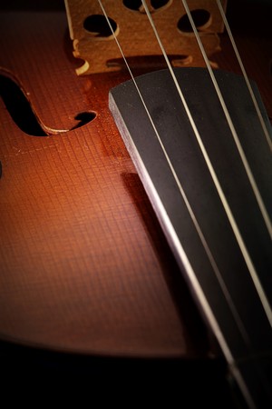 Old style Violin with little dusk の写真素材