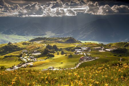 Daylily flower at sixty Stone Mountain in Taiwan Hualien festival の写真素材