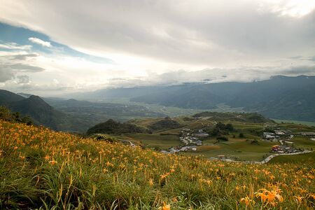 Daylily flower at sixty Stone Mountain in Taiwan Hualien festival の写真素材