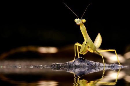 Rising flood, and there boat?の写真素材