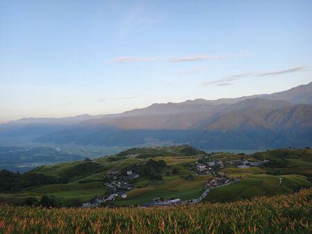 Daylily flower at sixty Stone Mountain in Taiwan Hualien festival の写真素材