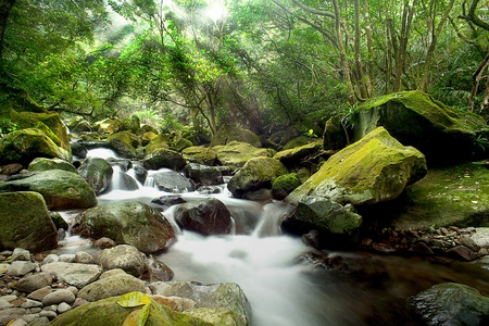 Mountain River *Best for web use の写真素材