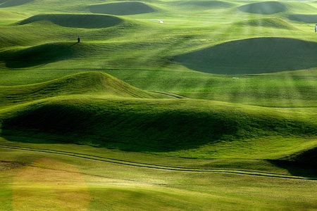 golf place with nice green の写真素材