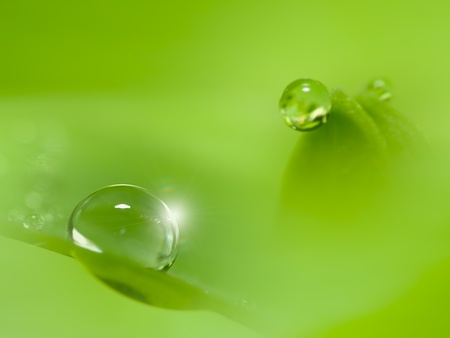 water drops on the green grass の写真素材