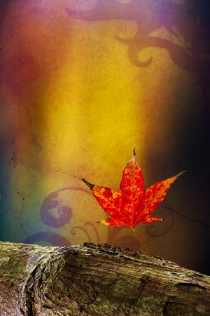 Autumn leaves over wooden background with copy space の写真素材