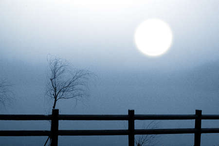Withered, and the un-clear sun in the fog (like a painting) の写真素材