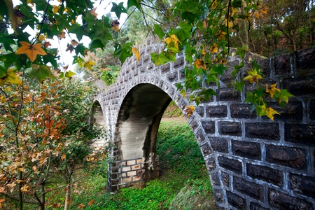 Stone make bridge with mapleの写真素材