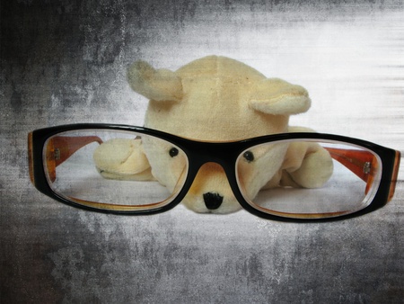 Glasses with cute dog look at the pencialの写真素材