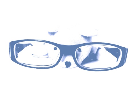 Glasses with cute dog look at the pencialの写真素材