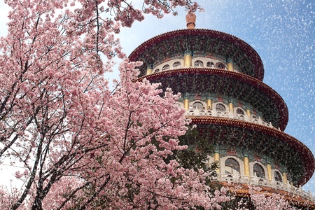Sakura, temple and blue sky のeditorial素材
