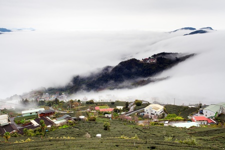 mountain ,cloud and fog in the morningの写真素材