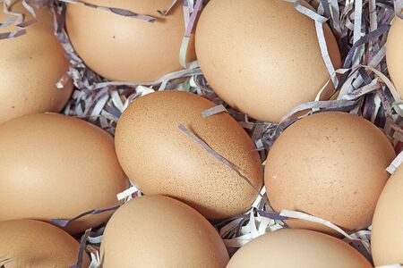 Organic eggsの写真素材
