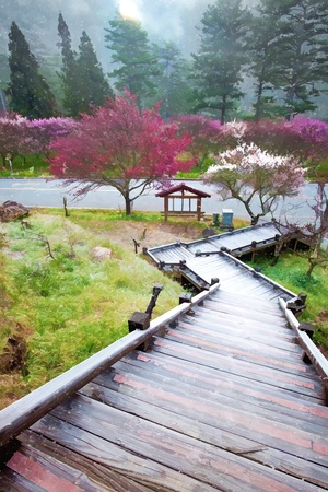 Painting style of pink flowers blossoming tree branchの写真素材