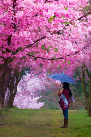 Painting style of landscape with nice sakura flowerの写真素材