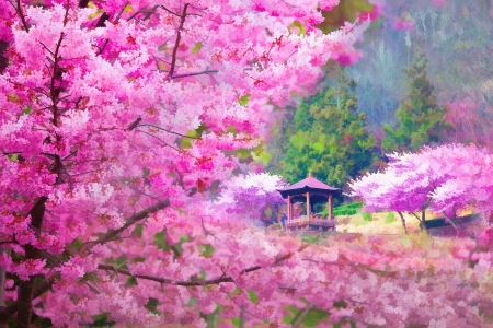 Painting style of landscape with nice sakura flowerの写真素材