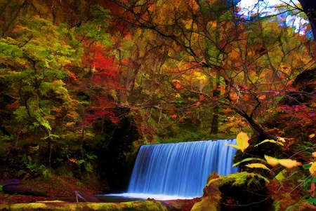 Autumn Colors of Oirase River, located at Aomori Prefecture Japan Autumn Colors of Oirase River, located at Aomori Prefecture Japan の写真素材