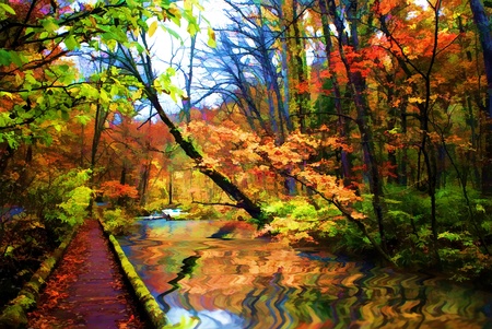 Autumn Colors of Oirase River, located at Aomori Prefecture Japan の写真素材