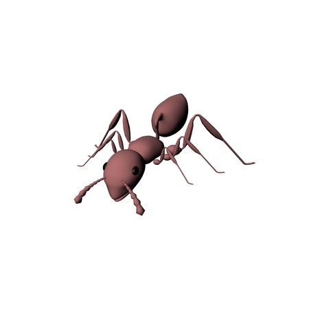 Cute Ant isolate with whiteの写真素材